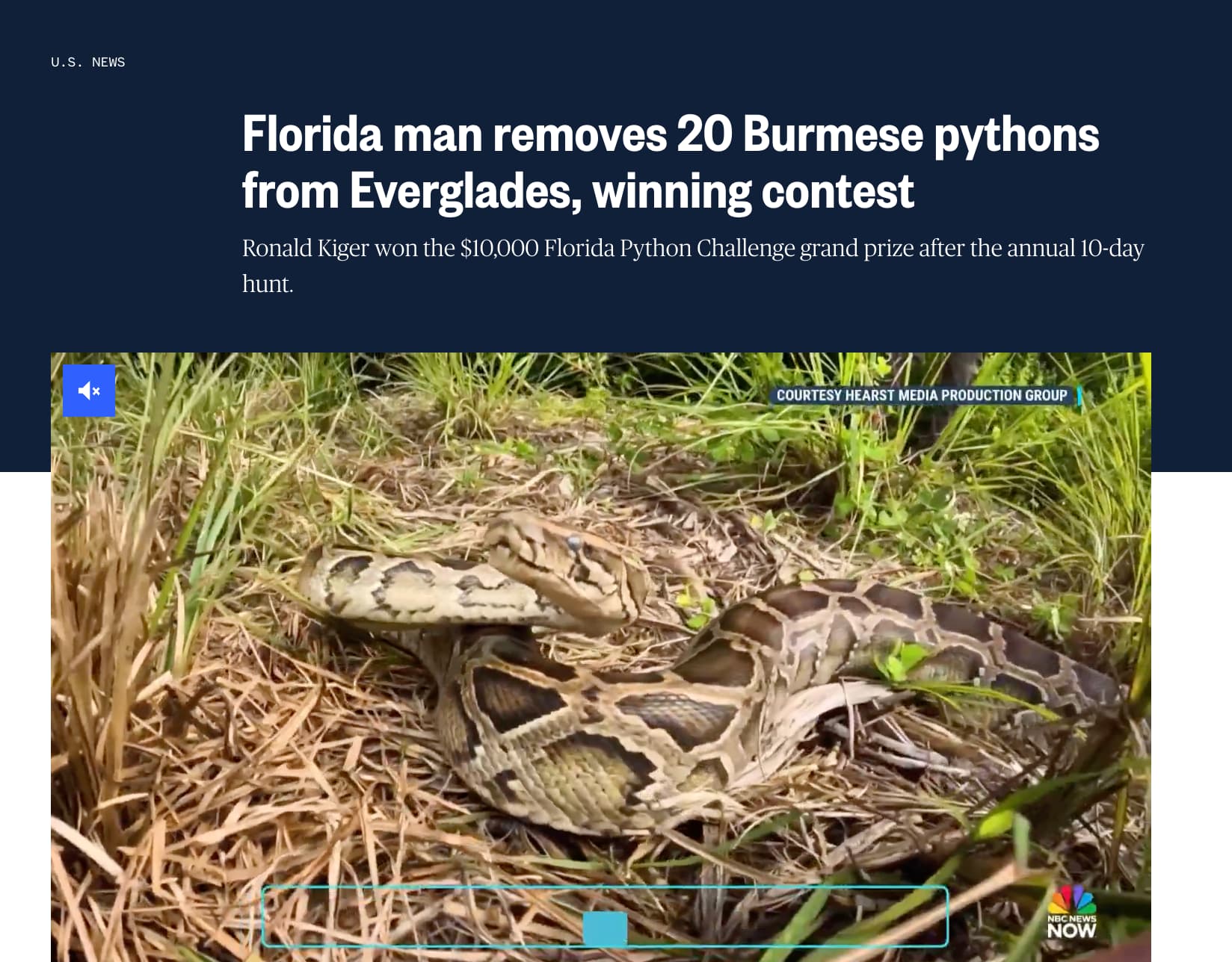 prairie rattlesnake - U.S. News Florida man removes 20 Burmese pythons from Everglades, winning contest Ronald Kiger won the $10,000 Florida Python Challenge grand prize after the annual 10day hunt. Courtesy Hearst Media Production Group Nbc News Now